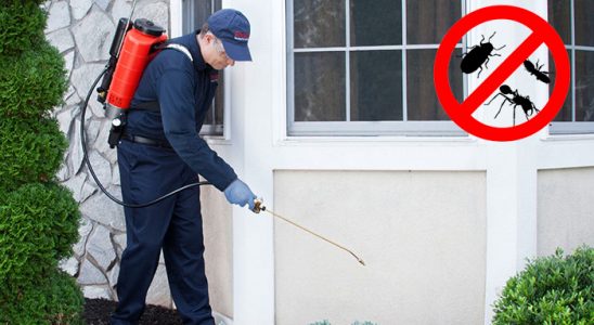 Elmalı Böcek İlaçlama böcek ilaçlama ve haşere kontrolü — ilaclama-tr.com